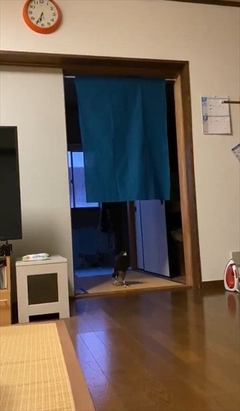 ホームセキュリティの鷹さん