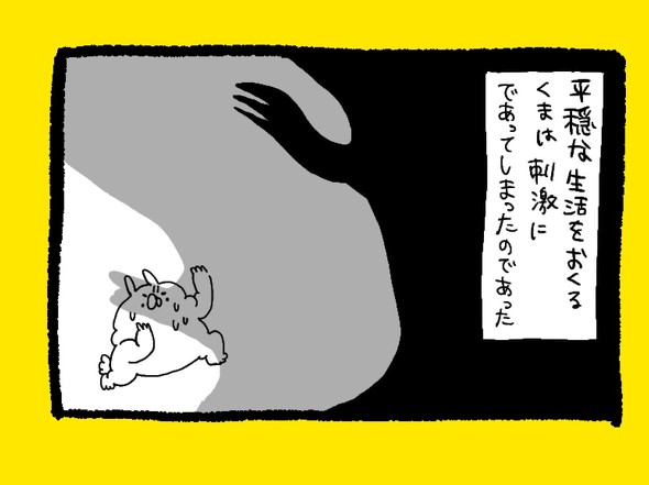 くまだよ