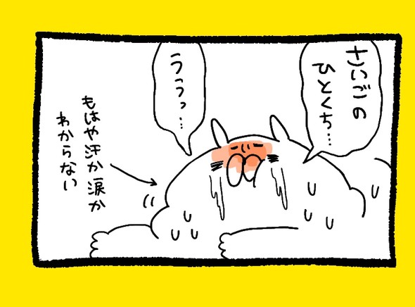 くまだよ