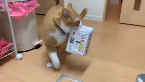 ペヤングを咥えて振り返るさんて君