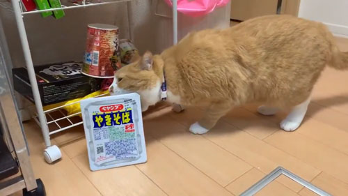ペヤングを咥えるさんて君