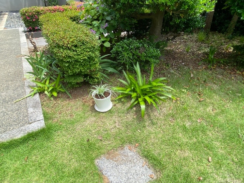 台風対策