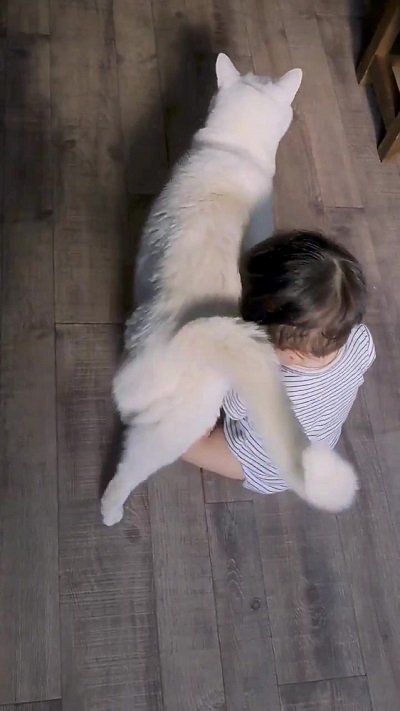 yuiiiさん