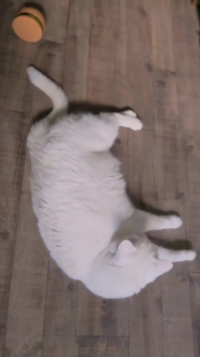 yuiiiさん