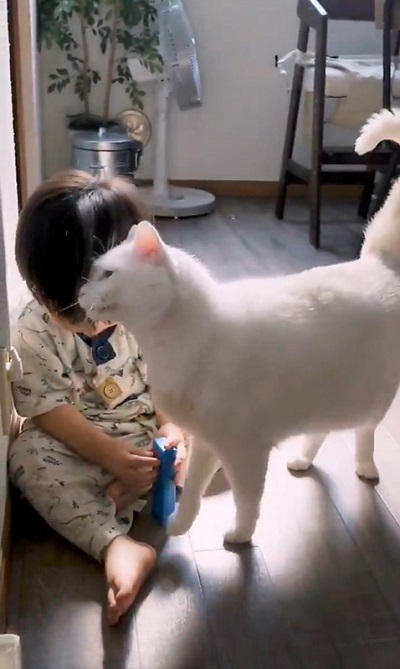 yuiiiさん