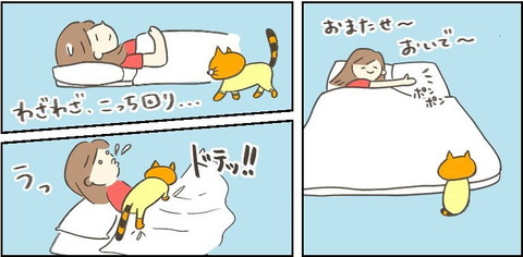 遠回り猫