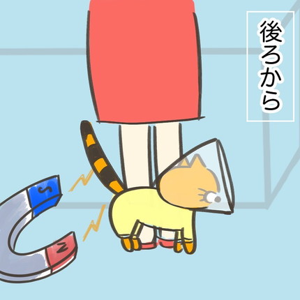 ぴったりくっつくはなたんちゃん