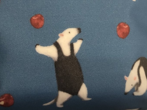 コアリクイ シロクマ