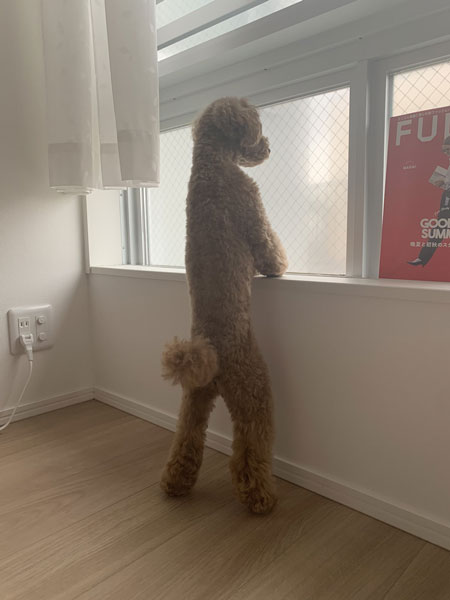 人間味稲穂くん