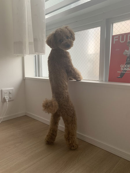 振り向き稲穂くん