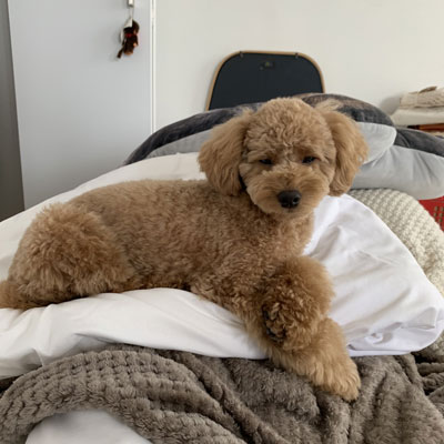 目を瞑る稲穂くん