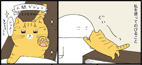 抱っこをせがむ猫