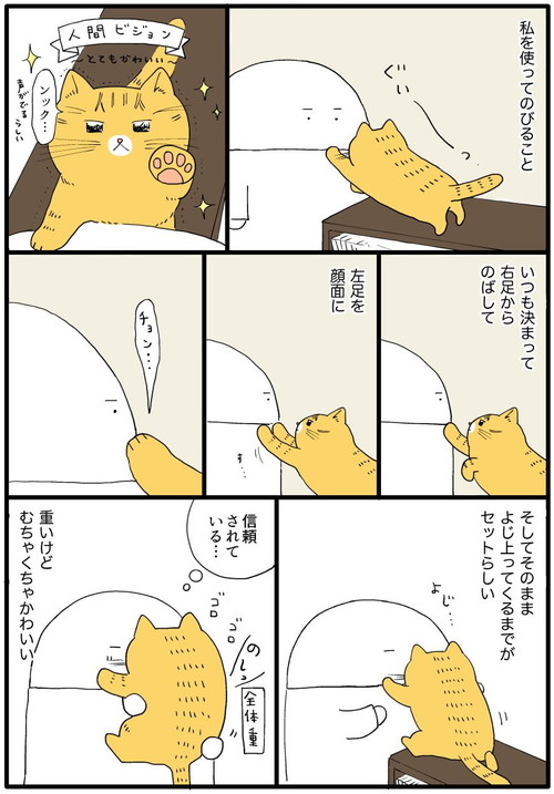 ネコちゃんの学び