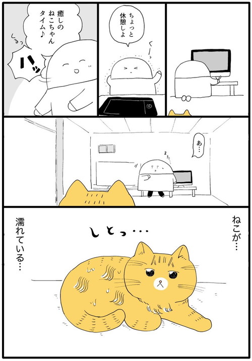 ぺろぺろいっぱいネコちゃん