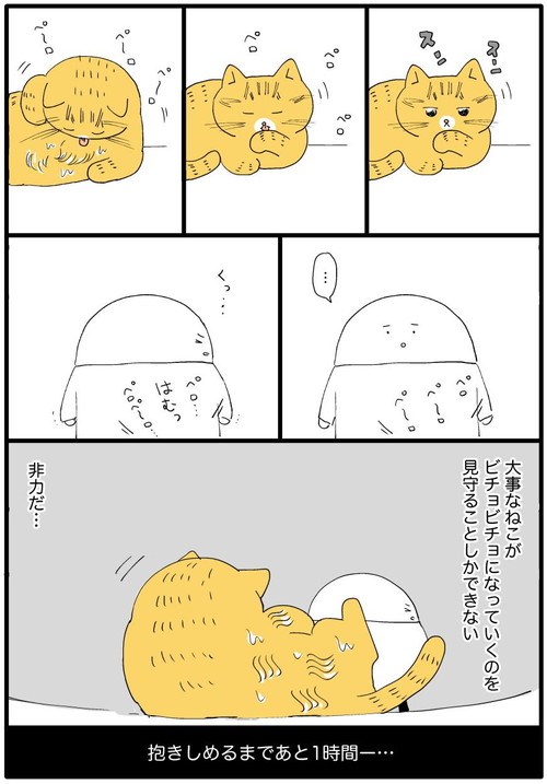 ぺろぺろいっぱいネコちゃん