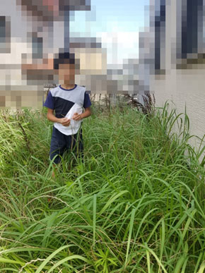 雑草全滅大作戦