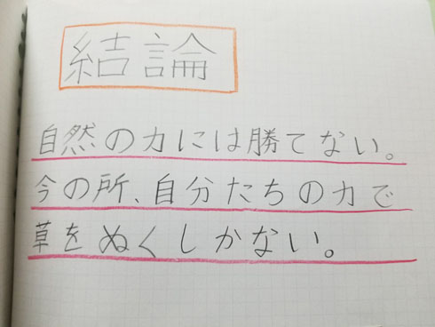 雑草全滅大作戦