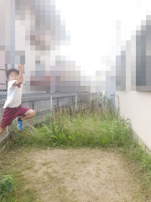 雑草全滅大作戦