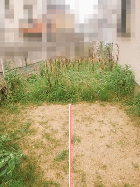 雑草全滅大作戦