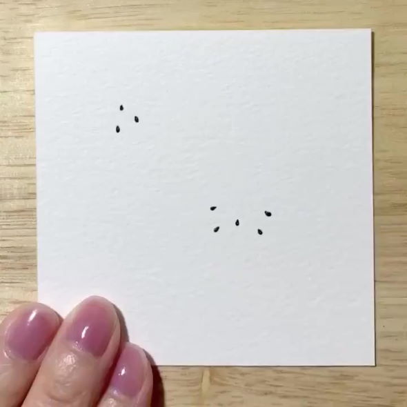 のすずきあやえ 水彩画 スイカ ペンギン