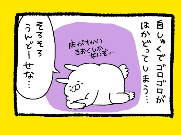 くまだよラジオ体操