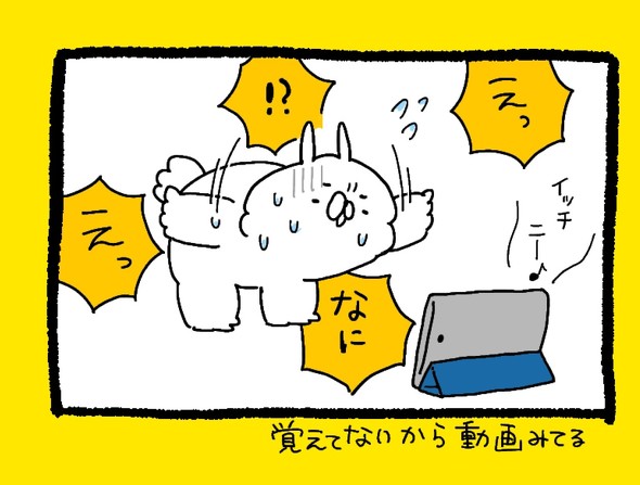 くまだよラジオ体操