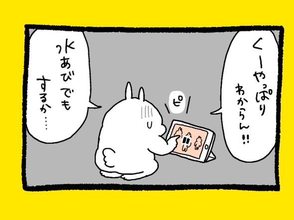 くまだよラジオ体操