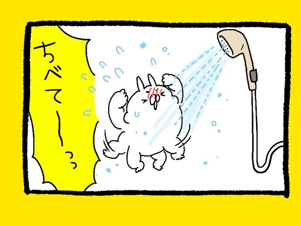 くまだよラジオ体操