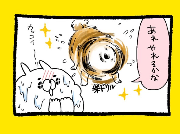 くまだよラジオ体操