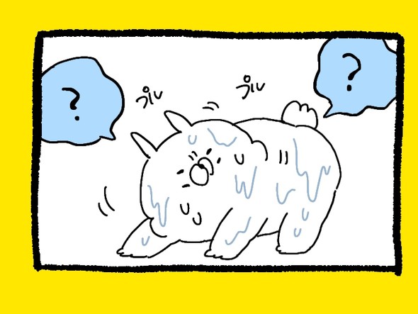 くまだよラジオ体操