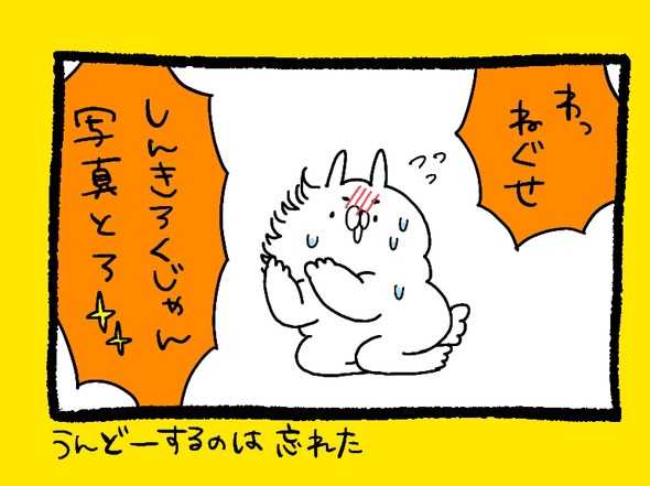 くまだよラジオ体操