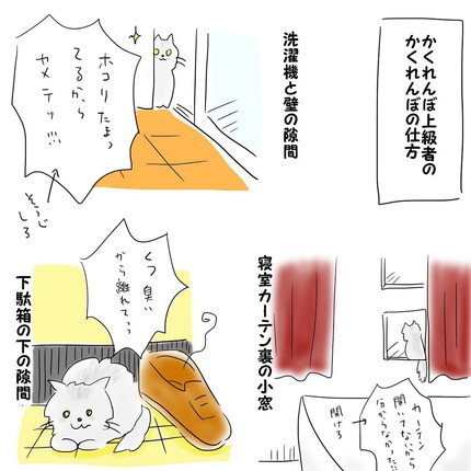 かくれんぼ上級者ロイくん