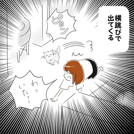 かくれんぼ上級者ロイくん