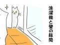 かくれんぼが上手すぎる猫ちゃん、飼い主が必死でさがすと……？　思わぬ登場をする子猫漫画がかわいい
