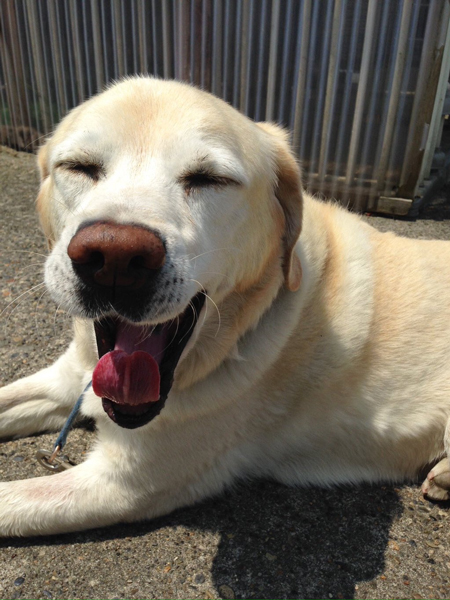 笑顔のウッちゃん