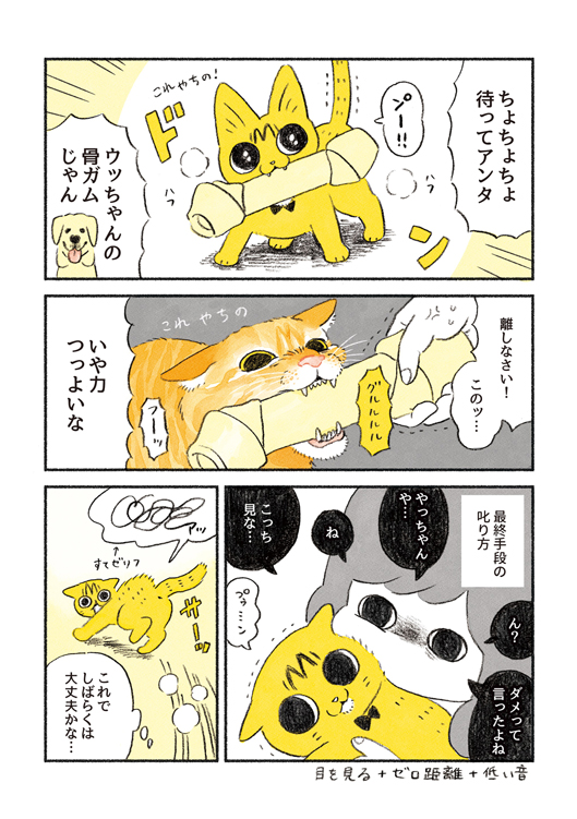  やっちゃんの食欲2