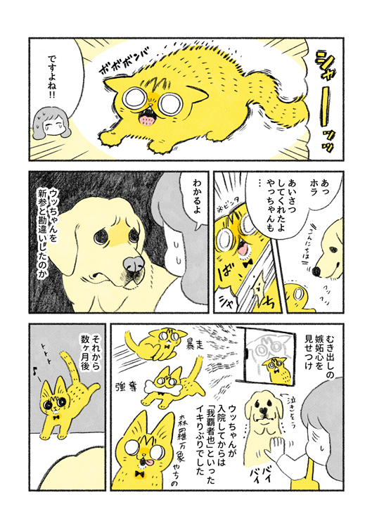  やっちゃんとウッちゃん2