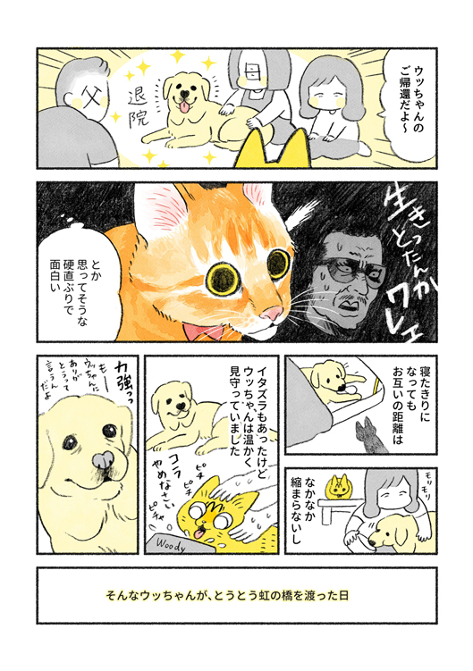  やっちゃんとウッちゃん3