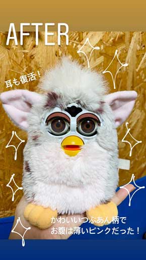 ファービー きれいにする 洗う 洗濯 解体 愛 ビフォーアフター