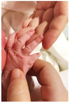 ニッチェ 江上敬子 近藤くみこ お笑い 出産