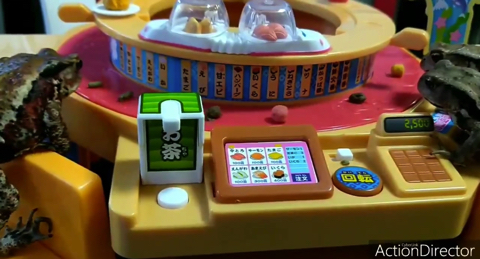 回転寿司に来たカエルのお客さん