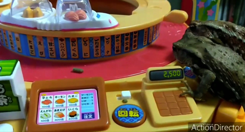 回転寿司に来たカエルのお客さん