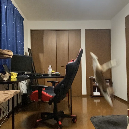 2秒後の見事なフォーム