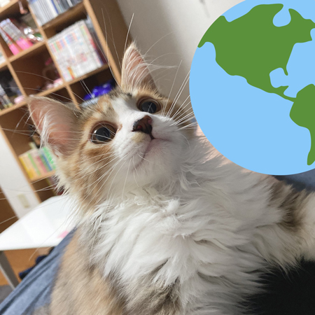 あんずちゃん顔アップ