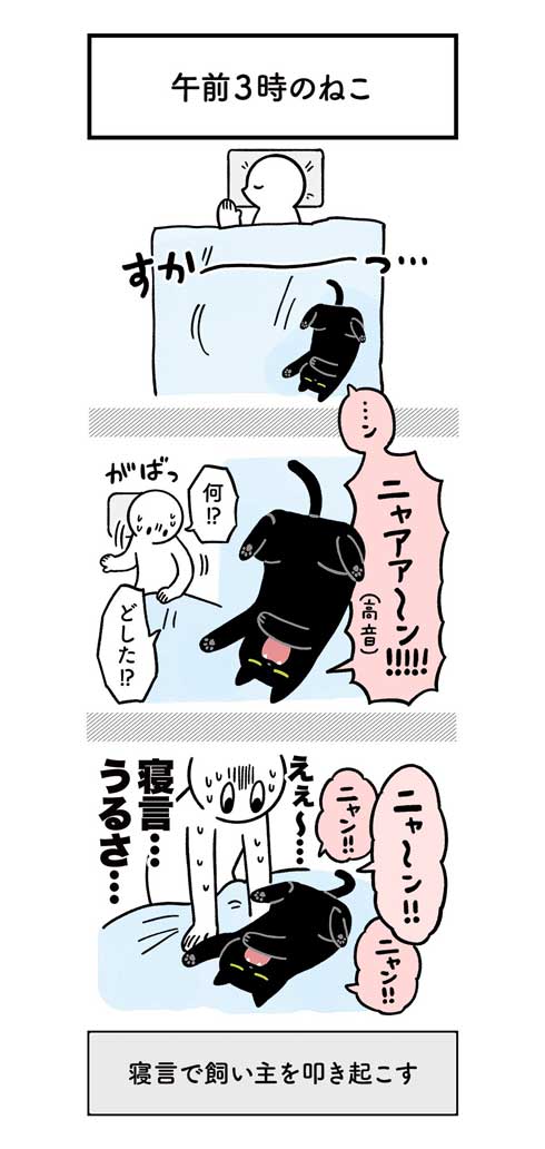 黒猫 ろん 猫と一緒に寝る おもしろくて最高 漫画