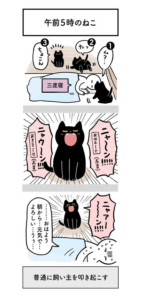 黒猫 ろん 猫と一緒に寝る おもしろくて最高 漫画