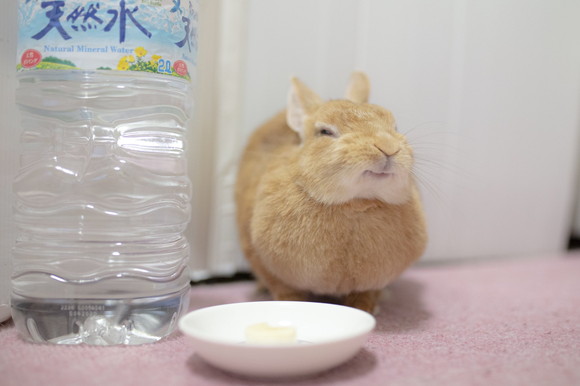 バナナで幸せとんかつちゃん