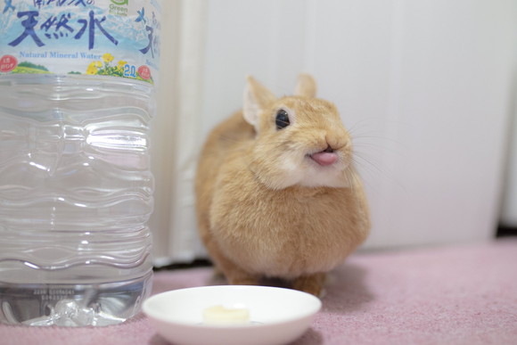 バナナで幸せとんかつちゃん