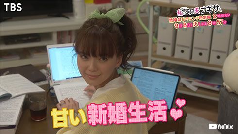 多部未華子 大森南朋 私の家政夫ナギサさん