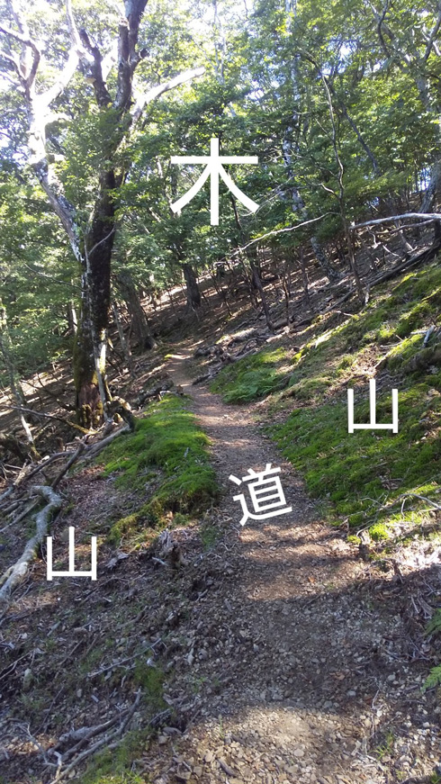 山中の風景をふつうの目で見た場合